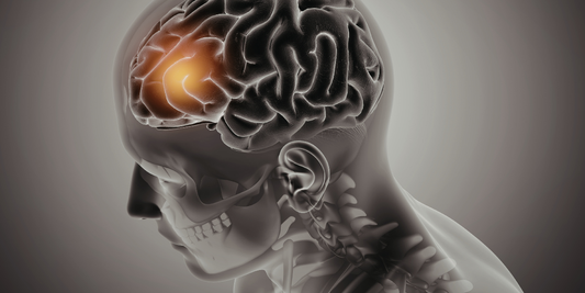 Healthy Movement for Life - Concussion