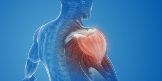 Shoulder Pain Treatment in Santa Barbara: 3 Tips and Exercises to Help You Move Better