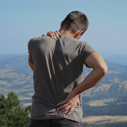 Low Back Pain & Sciatica Workshop